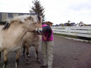 Paardenvriendjes...